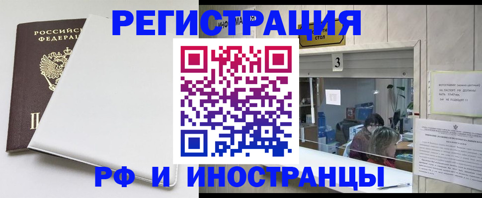 прописка 2025 в Кольчугино